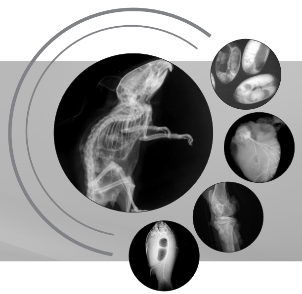 生命科學(xué)研究、小動(dòng)物、種子檢測(cè)